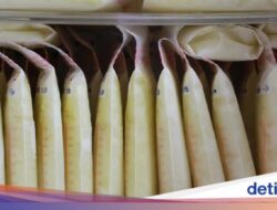 Kata Kemenkes soal Pemberian ASI Terbaik, Disimpan Di Freezer Bisa Rusak Mutu?