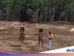 Suku Togutil Masuk Area Tambang, Kemensos Sampai Kontak Antropolog