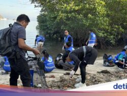 Aksi Keluhan Masyarakat Pandawara Bersih-bersih Pantai Binongko Labuan Bajo