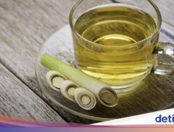 3 Kelompok Orang yang Tak Dianjurkan Minum Air Serai, Siapa Saja?