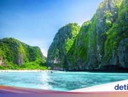 Maya Bay Tutup Di 2 Bulan!