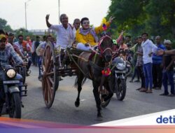 Serunya Lomba Balap Kereta Kuda Tradisional Hingga India