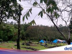 4 Tempat Camping Di Cibodas, Suguhkan Pemandangan Indah dan Udara yang Sejuk