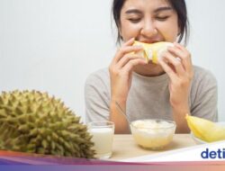 Mabuk Durian? Ketahui 4 Cara Mengatasinya!