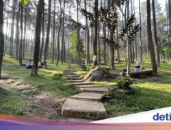 Suhu Bandung Bersama Sebab Itu Lebih Dingin, Ini Penjelasan Ahli ITB