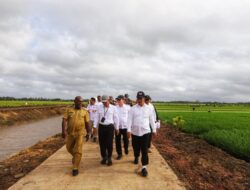 Kementan Kembangkan Varietas Padi Cakrabuana Hingga Merauke, Adaftif Pada Krisis Lingkungan