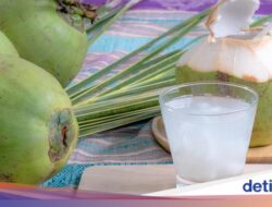 5 Manfaat Minum Air Kelapa Setiap Hari, Ini yang Akansegera Terjadi Ke Tubuh