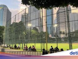 Potret Nongkrong Seru Di Spot Mutakhir: Lapangan Softball GBK