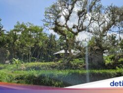 Ini Makam Dadong Guliang, Pengabdi Ilmu Hitam Abad 18 Hingga Bali