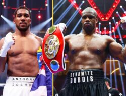 Siapa yang Dijagokan Tyson Fury, Anthony Joshua atau Daniel Dubois?