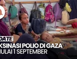 Sosialisasi Politik Proteksi Polio Di Gaza Mulai 1 September Pakai Proteksi Oral