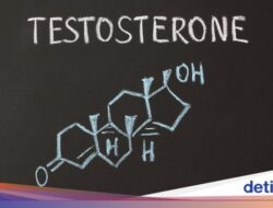 Paksu Perlu Tahu! Ini 5 Citarasa yang Bisa Bikin Hormon Testosteron ‘Anjlok’