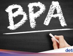 Studi Sebut Dampak Buruk BPA Di Keadaan Metabolik Manusia