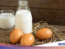 Bolehkah Pengidap Kolesterol Tinggi Mengonsumsi Telur dan Susu? Begini Penjelasannya