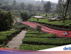 Cable Car Solusi Pengurai Macet Di Kawasan Puncak, Kapan Berencana Dibangun?