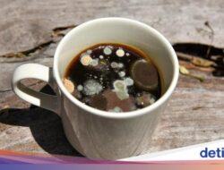 Apakah Bahaya Minum Minuman yang Sudah Berjamur?