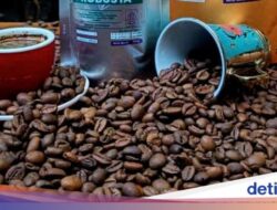 Belajar Minuman Sambil Cicip Ragam Single Origin Nikmat Di Kafe Situbondo