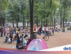 Piknik Asyik Hingga Ragunan, Refreshing Sekaligus Belajar buat Anak