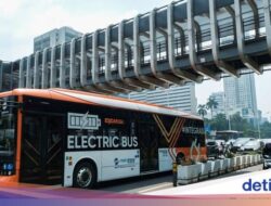 Sudah Tahu Belum? Hari Ini Naik TransJ-MRT-LRT Jakarta Rp 1 Saja