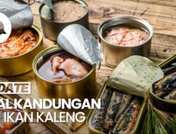 Video: Diusulkan Dari Sebab Itu Menu Makan Bergizi, Bagaimana Gizi Ikan Kaleng?