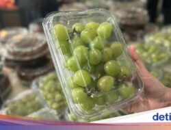 Bapanas Uji Cepat Residu Pestisida Anggur Shine Muscat Pembelian Barang Di Luar Negeri, Ini Hasilnya