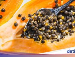 Biji Pepaya Ternyata Bisa Dimakan, Ini Manfaatnya Sebagai Keadaan