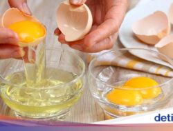 5 Manfaat Putih Telur Untuk Kesejaganan, Betulan Manjur Pangkas BB Pada Asupan Konsumsi?