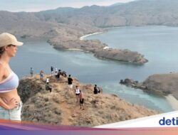 Terbangkan Drone Hingga TN Komodo Ditarik Rp 2 Juta, Asosiasi Pilot Penolakan!