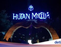 Hutan Mycelia, Negeri Dongeng Bersama Bandung Pada Malam Tiba