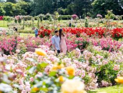 Musim Semi Hingga Akhir Tahun, Indahnya Warna-warni Taman Bunga Hingga Melbourne