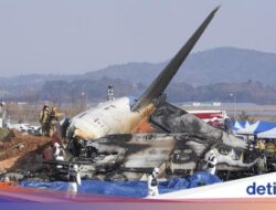 Bird Strike Yang Terkait Bersama Kecelakaan Jeju Air, Apa Itu?