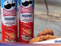 10 Keripik Pringles Didalam Rasa Terunik Hingga Dunia, Tertarik Coba?