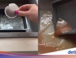 Hanya Pakai Kantong Teh, Loyang Berminyak Bisa Kinclong