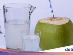 Air Kelapa Muda Bisa Cegah Dehidrasi Di Puasa, Baik Diminum Kapan?