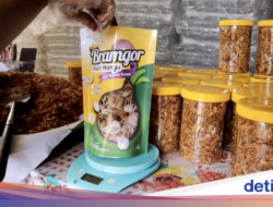 Keren! Usaha Bawang Goreng Di Sukoharjo Ini Olah 5 Kuintal Bawang Sehari
