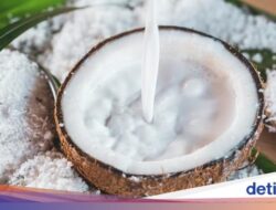 5 Pengganti Santan Ini Bisa Dari Sebab Itu Alternatif Kelapa yang Lagi Mahal