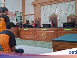 Terdakwa Pemilik Ladang Ganja Di TNBTS Dihukum 20 Tahun Penjara-Denda Rp 1 M